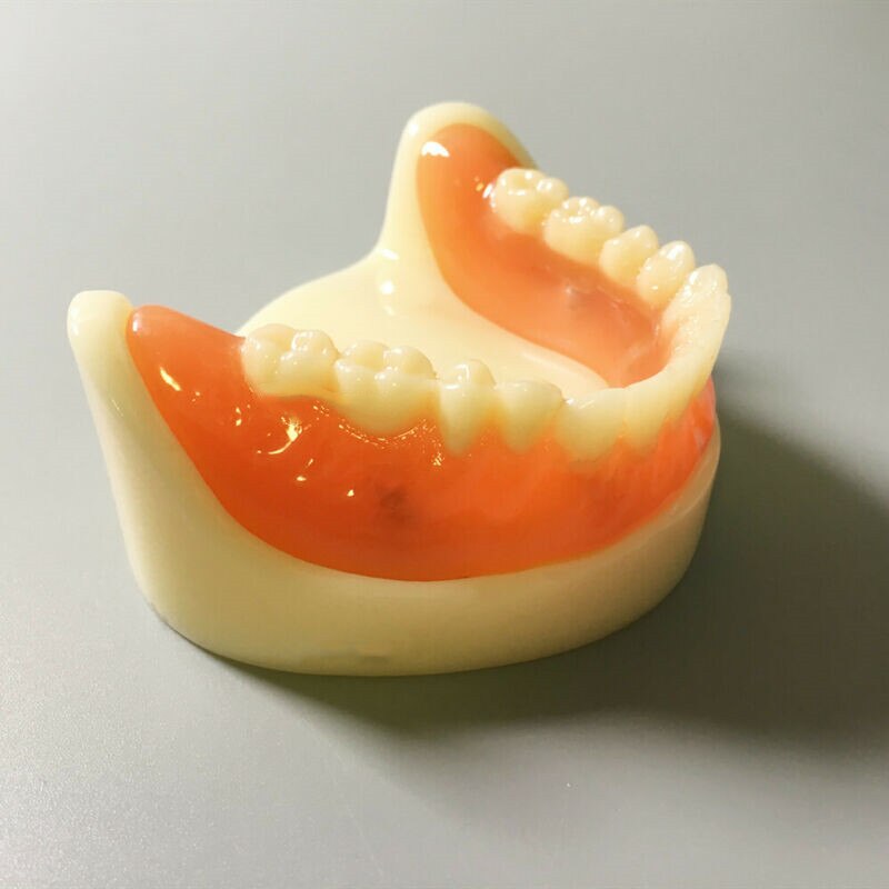 Modelo de dentadura completa Dental, accesorio magnético, estudio superior de la Mandibular