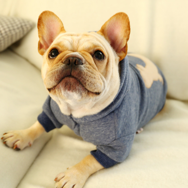 Veste pull à capuche pour chiots Shih Tzu | Drôle de sport, chiot français bouledogue Terrier grosse Animal, chiot chat chien, vêtements de sport S XL