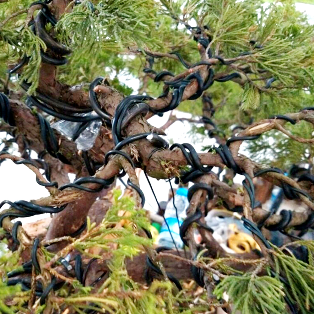 Garten Bonsai bilden Aluminium Draht (1,0mm, 1,5mm...  Grandado