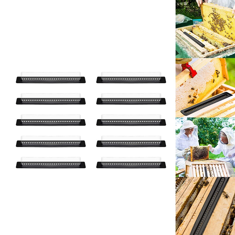 10Pcs Hive Beetles Traps Beetles Catcher Natural Beehive Pest Trapper Beekeeping Tools