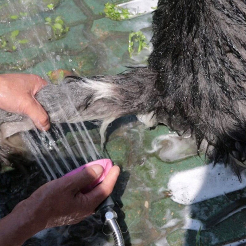 Dog washer dog bathing tool Pet Bathing Sprayer Scrubber Dog Bath Shower Sprayer Attachment Portable Tools Supplies For Outdoor