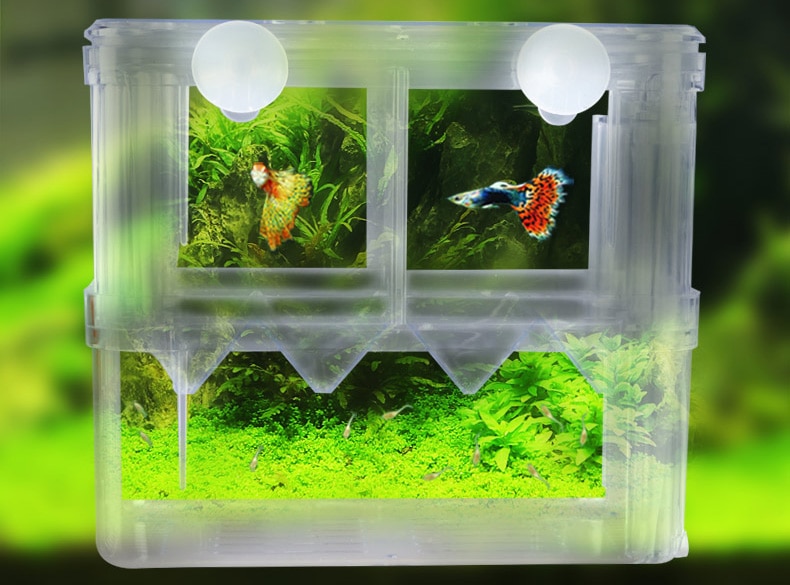 Caja de escotilla de 2 habitaciones para acuario, separación de peces pequeños, guppy, arcylico, flujo automático