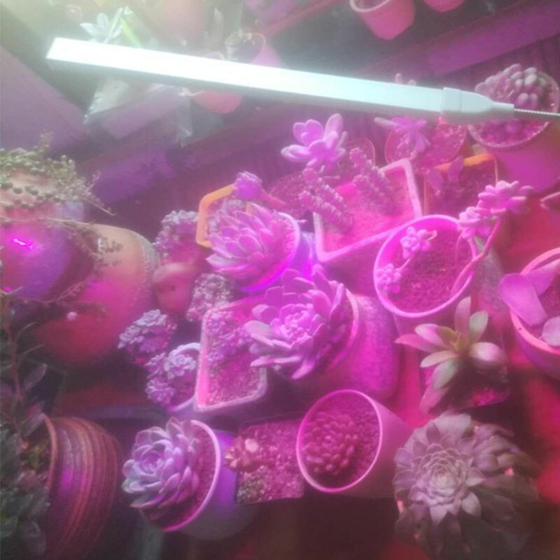 Led Plant Grow Light Full Spectrum Indoor Flower Growbox Grow Box Lamp Phyto Power Usb 5V 2.5W Meaty Plant 14 LEDS lights