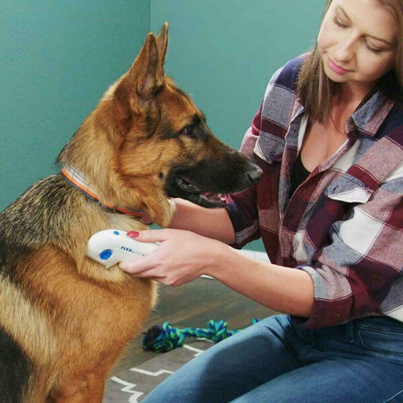 Electric Terminator Comb Anti Removal Kill Lice Cleaner Electric Head Pet Cat Dog Supplies Puppies Fleas Electronic Lice Comb