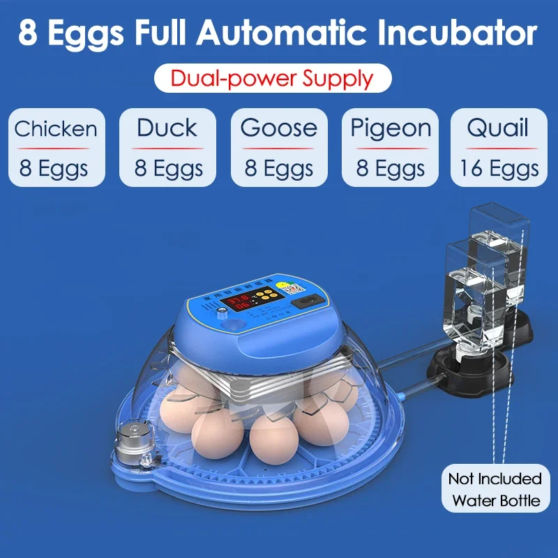 Incubadora de 8 huevos, incubadora completamente automática, Control inteligente de temperatura/reposición automática de agua, herramienta de incubación de aves de corral