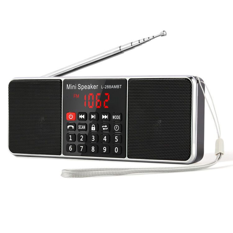 PRUNUS Digital Portable Radio Receiver AM FM Bluetooth stereo Speaker TF/SD Card MP3 Player USB Drive Handsfree Call LED Screen: Black