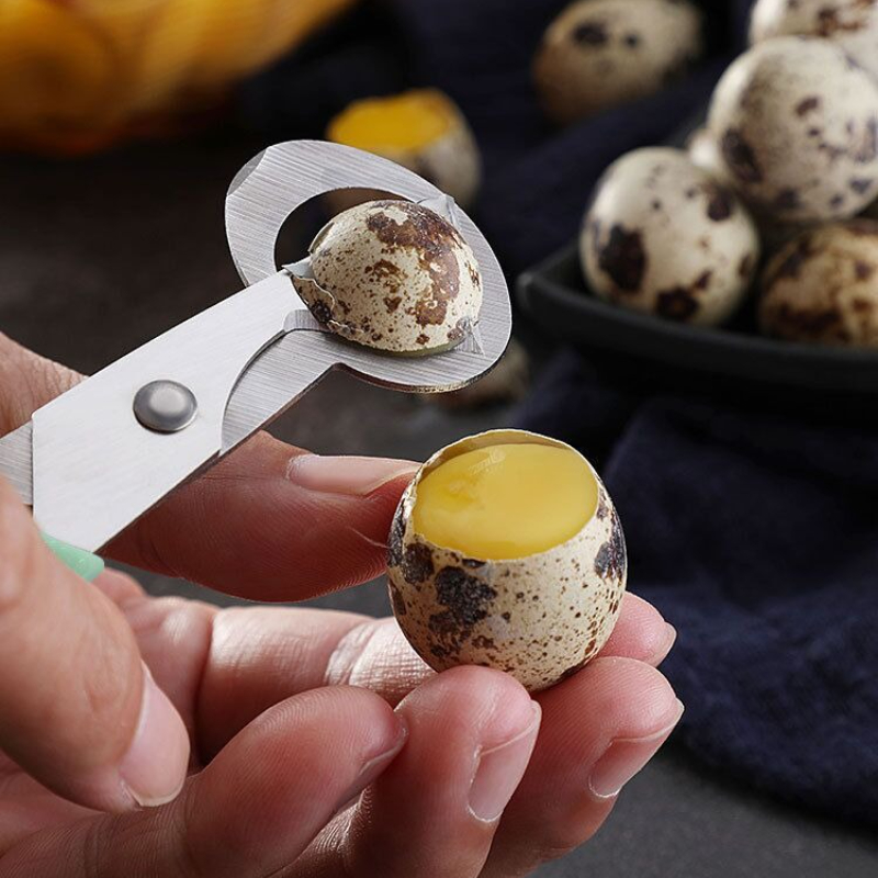 1 szt. Nożyczki robić cięcia skorupki jajek - robić jaj przepiórczych i ptasich - łatwe w użyciu i trwałe, robić otwierania jajek, łamania skorupki, dzielenia jajek