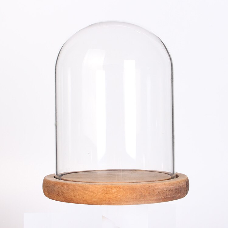 Glass Dome display case for Preserved Flowers bell jar with Wood Base Home wedding dia 10cmor 3.9inch height 12 cm or 4.7inch: archaistic wood base