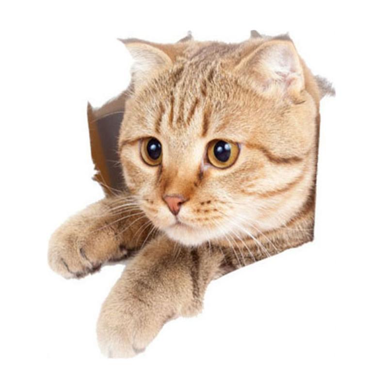 3D Lovely Cat Toilet Stickers Wall Stickers Home Decoration DIY Funny Cartoon Animal Wc Mural Art Vivid Kitten Puppy Safari PVC: C