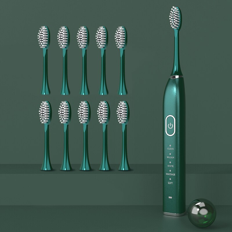 Ultrasonic Sonic Electric Toothbrush Powerful Tooth Brush USB Rechargeable Adult Electronic Washable Whitening Teeth Brush: 15 gears 10 heads G