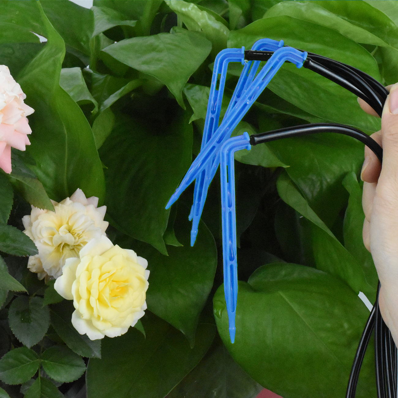 KESLA 10-100M Irrigation Watering System Kit 4-Way 2-Way 8L Drip Arrow Transmitter Dripper Sprinkler Potted Planting Greenhouse