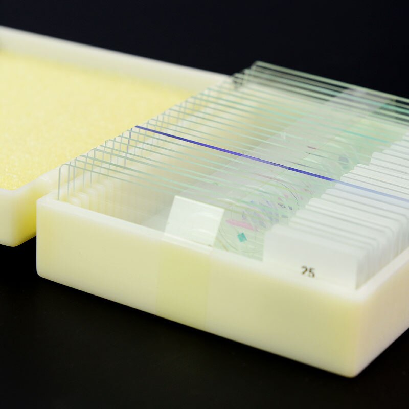 25 pcs Prepared Glass Microscope Slides for Children Student Biological Microscopes with Chinese and English Label