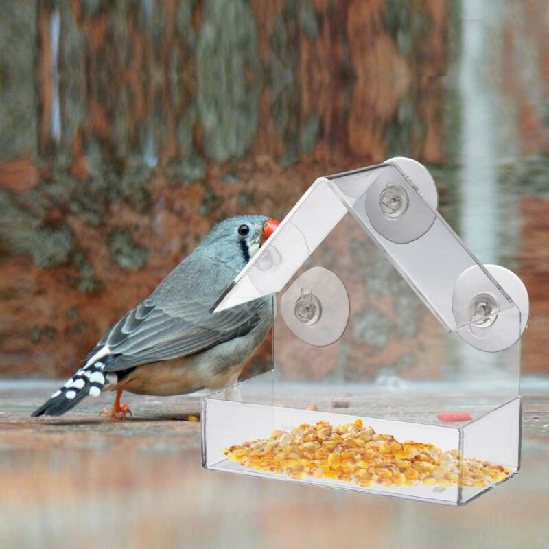 Gennemsigtigt husvindue fuglefoder fuglehus med sugning udendørs havefodring