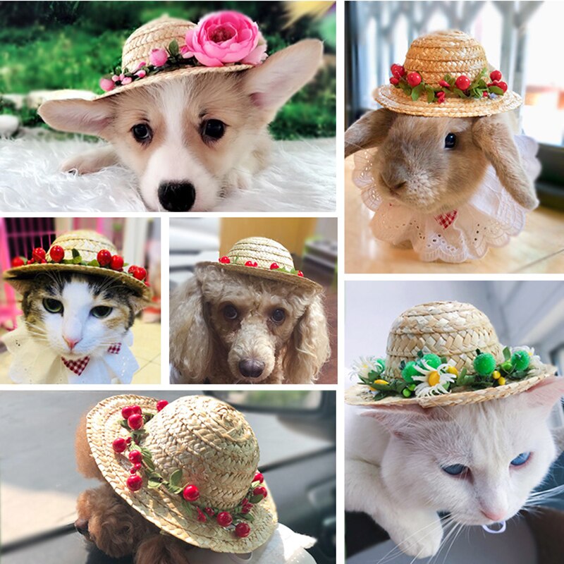 Chapeau d'été pour chien, petit et moyen gabarit, Style hawaïen, chat drôle, décoration en bambou libellule, paille tressée, fournitures pour animaux de compagnie