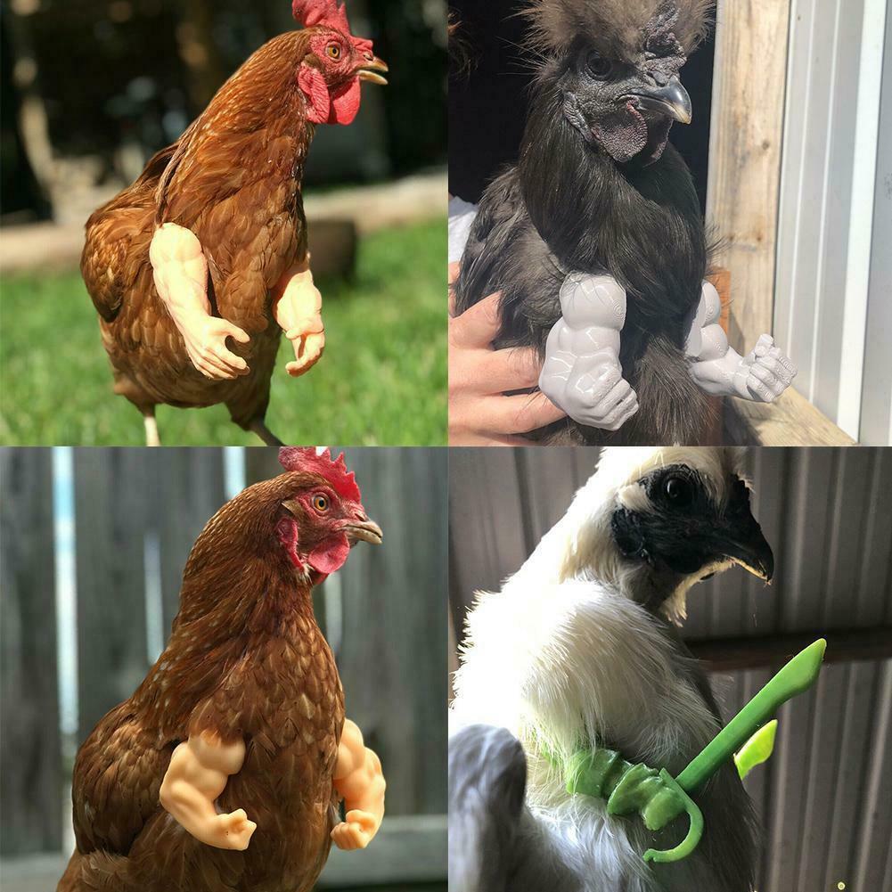 Juguete para manos de pollo, de broma, casco para gallinas, decoración divertida de aves, músculos, juguetes con brazos