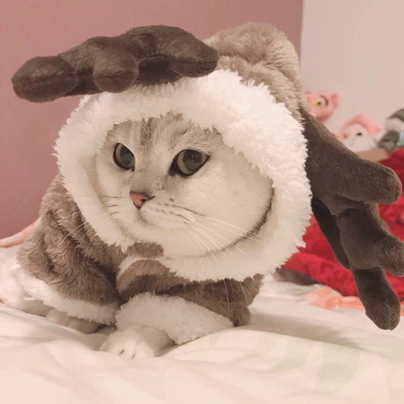 Winter Cat Clothes Christmas Antlers Pet Clothing Warm Fleece Kitten Jumpsuit Cat Coat Jacket Pet Dog Cat Clothes