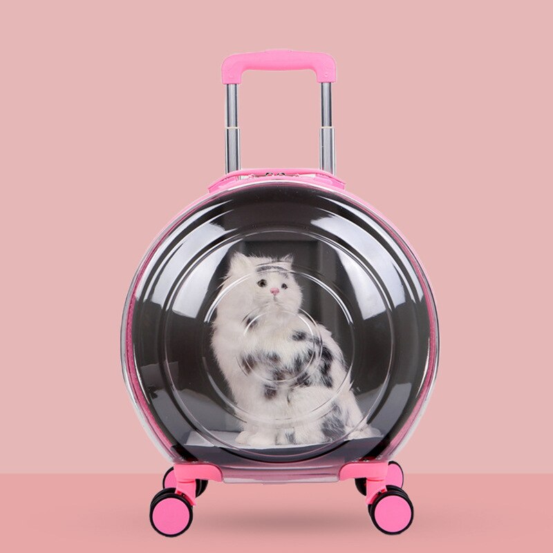 Carrito portátil de gran capacidad para gato, caja de burbujas para cachorro, Chihuahua, jaula para perros y gatos pequeños, bolsa de transporte, Maleta