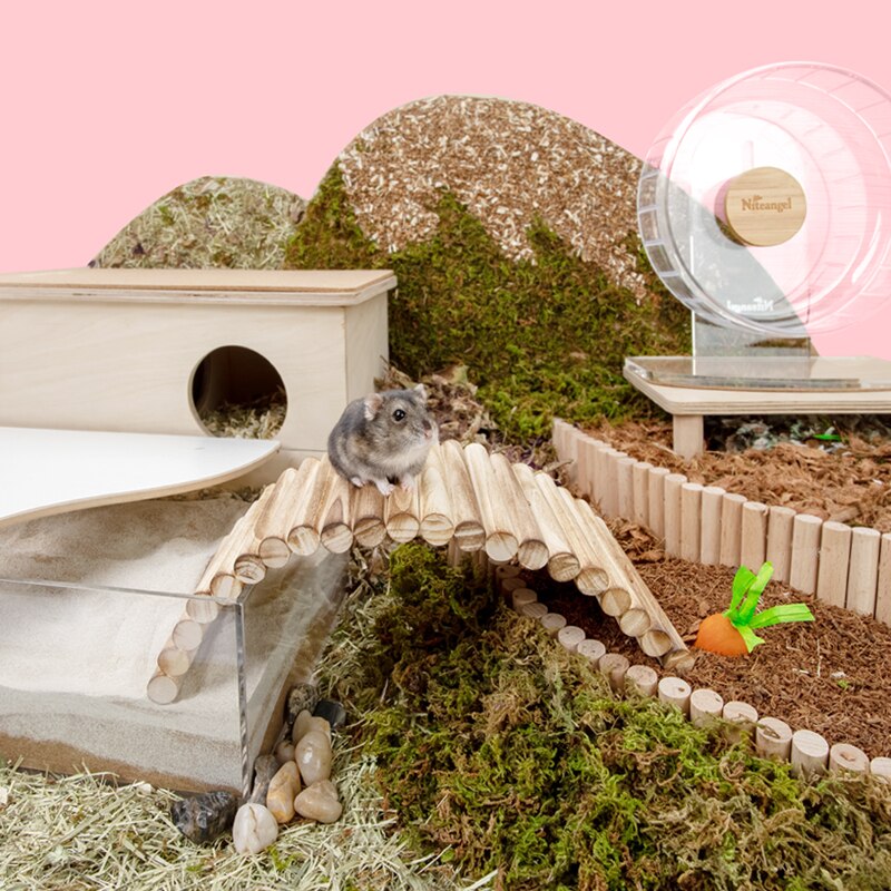 Pont de Hamster en bois, jouets suspendus, ours doré, cochon d&#39;inde, Tunnel d&#39;escalade, jouets à mâcher molaires, fournitures pour petits animaux