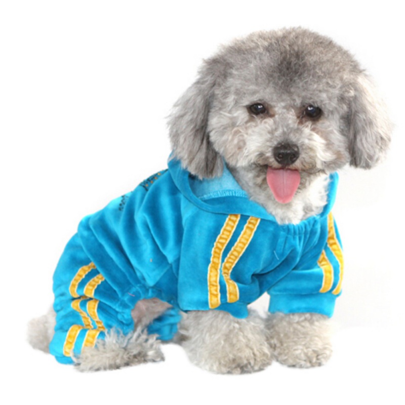 Ropa de perro de terciopelo sudaderas con corona de diamantes de imitación mono de animales de lujo para cachorros de Chihuahua Yorkshire suministros