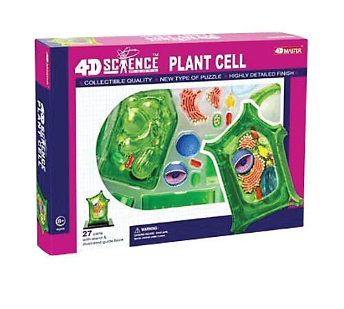 4 D Master plant mobiele anatomische Skelet Model voor dimensionale speelgoed anatomisch model Medische Wetenschap onderwijs apparatuur