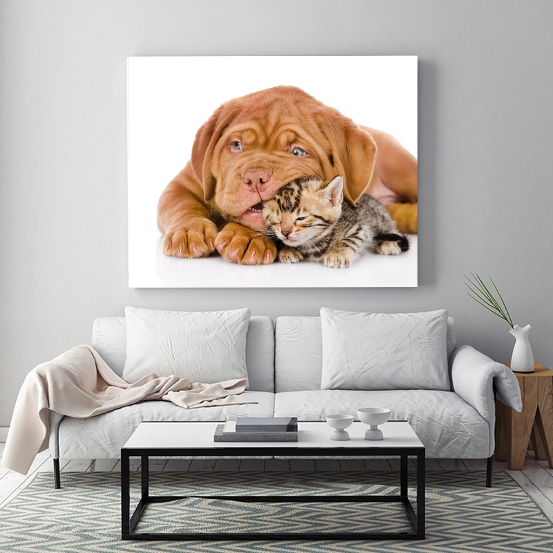 paint by number art painting by numbers Bernese Mountain Dog Shar Pei