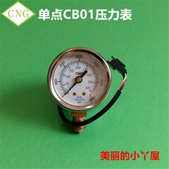 CNG pressure gauge CB01 CB02 CB03 CB08: CB01