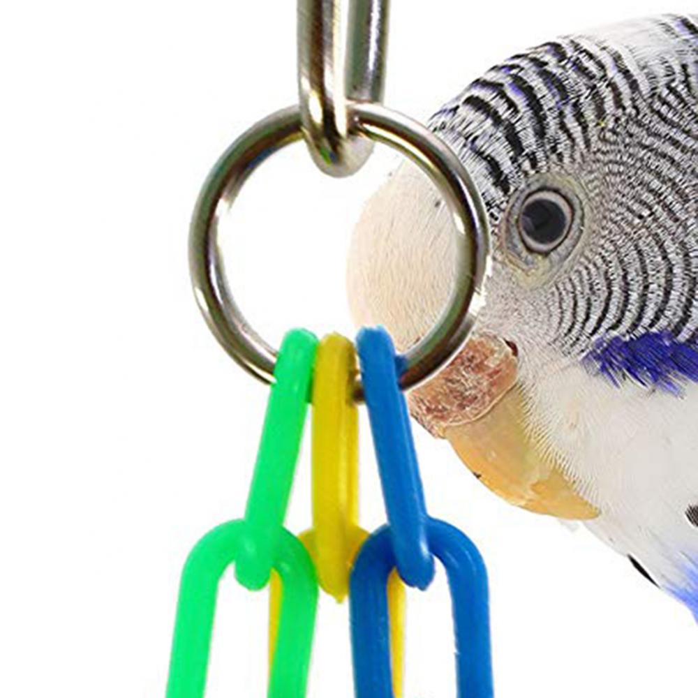 Uccello pappagallo moda blu verde giallo decorazioni ciondolo legno 3 campana catena molare macinazione zampa giocattolo da masticare decorazione gabbia