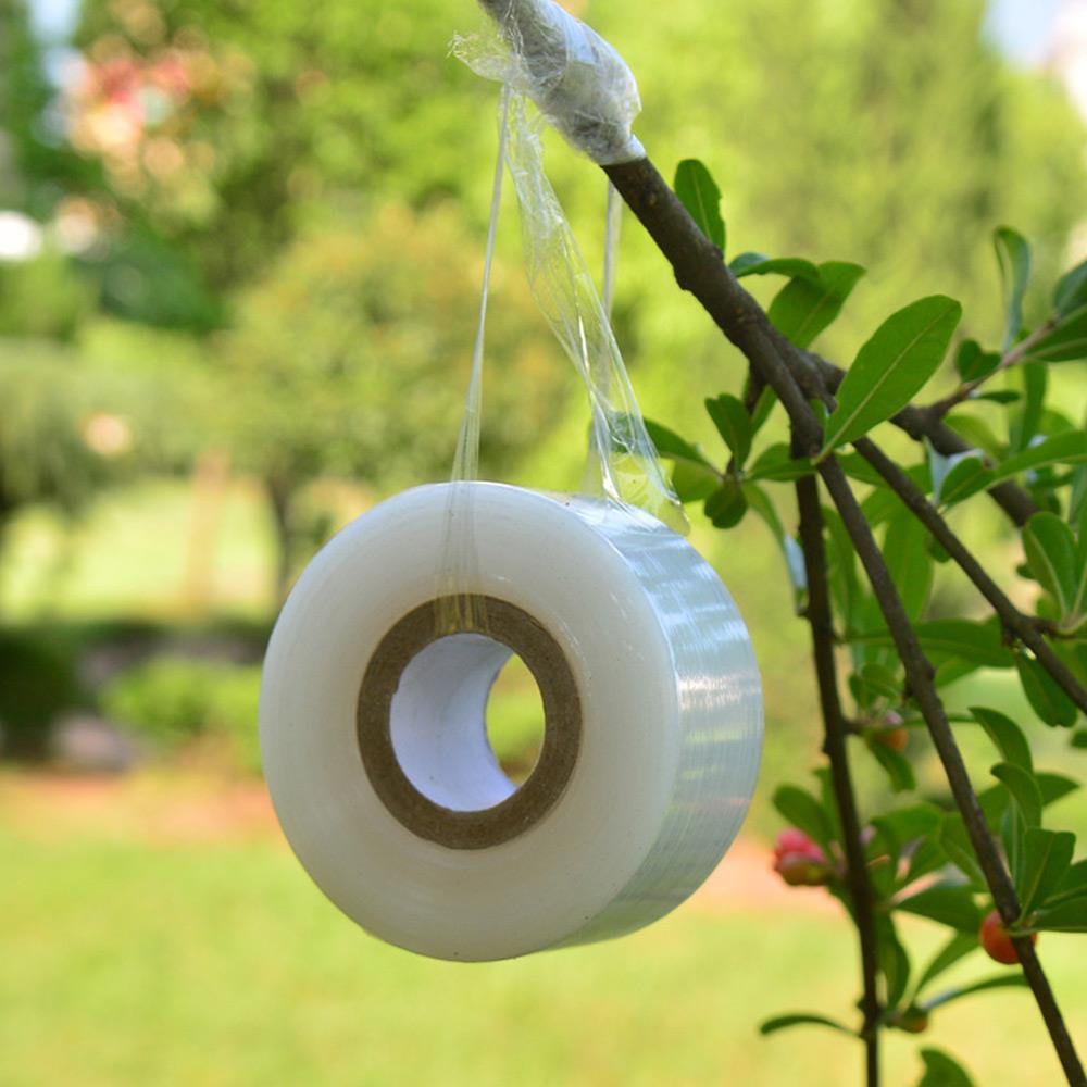 Cintas de PE de película transparente estirables para reparación de plantas ecológicas, cinta para Injerto de jardín, cinta bio-degradable Rural para plantones de árboles en casa