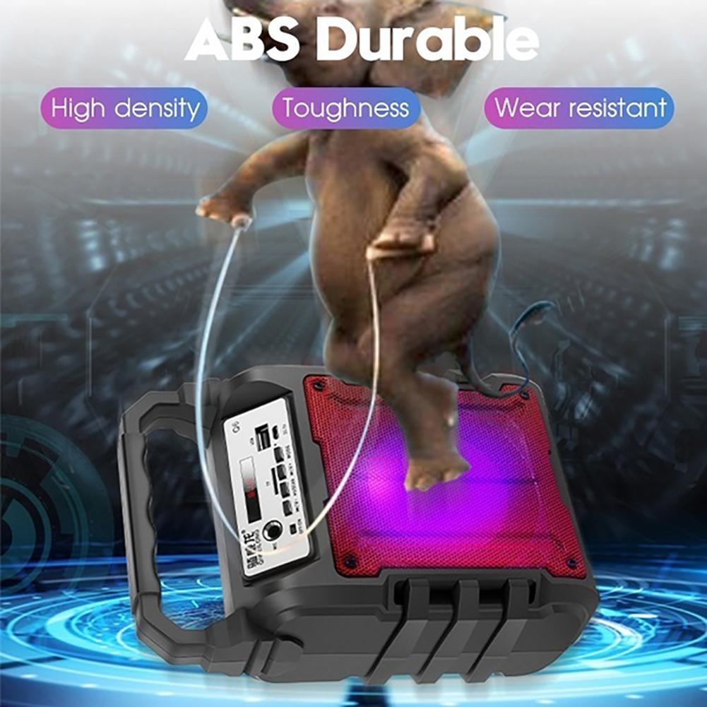 Portable Bluetooth Speaker TF AUX FM Radio Stereo Subwoofer with Microphone