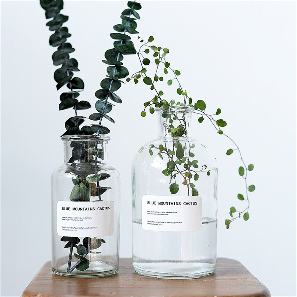 Minimalistiska chica glasförvaringsburkar skandinavisk elegans genomskinligt skrivbord förvaringsflaska arrangör blomvas dekor