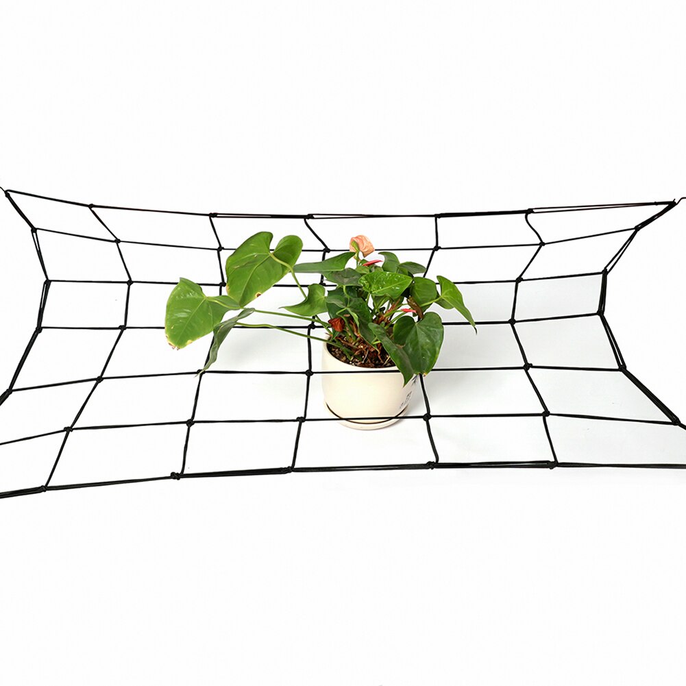 Malla de enrejado elástica de goma para jardín de 80x80 cm, Red de soporte para tienda de cultivo de jardín para plantas de vid trepadora de verduras y flores