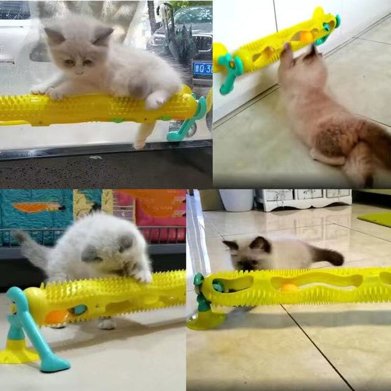 Pista de juguete con ventosa para gatos, juego interactivo luminoso de masaje con ventosa, ventosa para ventana, Trackball, juguete de inteligencia para mascotas