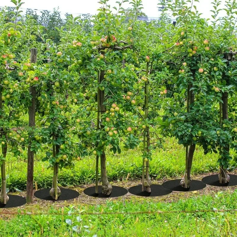 15/25/27/32cm anillos de paleta de árbol esteras protectoras de árboles película reutilizable para césped y jardín estera de barrera de Control de malezas para protección de raíces de plantas