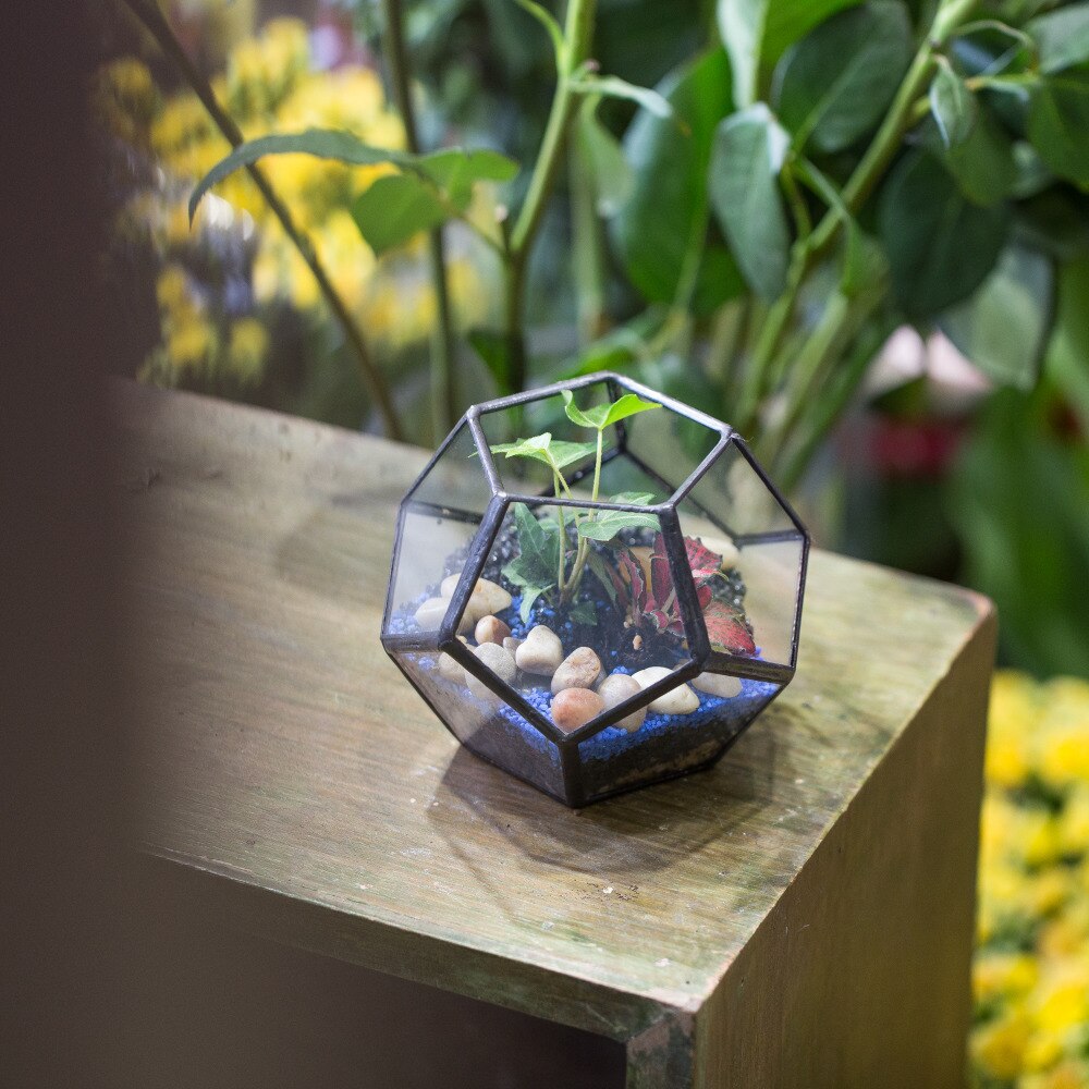 Garten Mini Terrarium Pflanzer Glas Geometrische Blumentopf Handgemachte Künstlerische Kleine Sukkulenten Farn Moos Pflanze Terrarium Dekoration