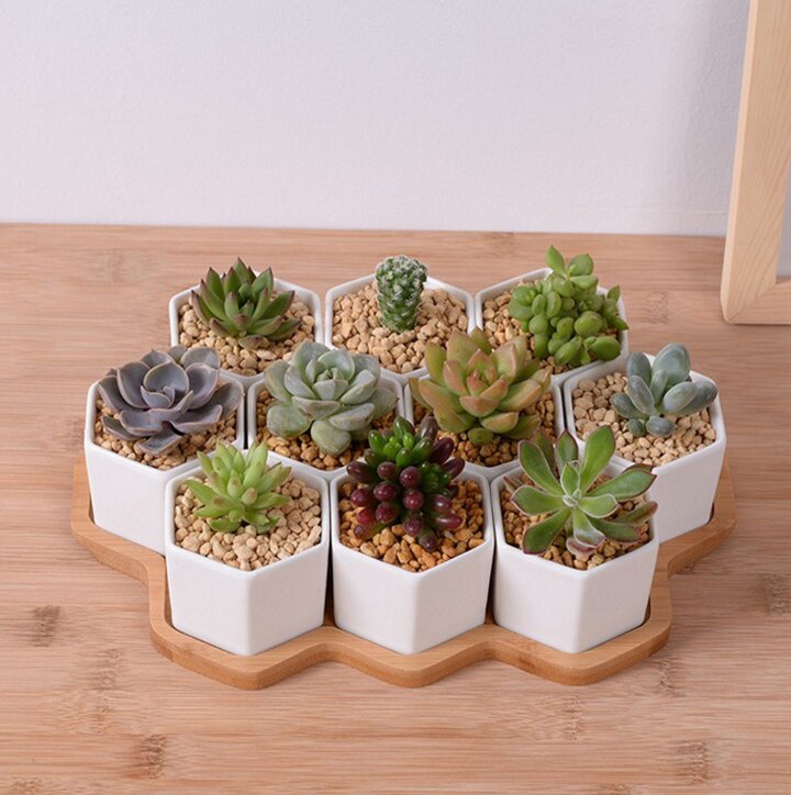 Set Van 4/7/9/10 Hexagon Bloempotten Witte Keramische Vetplant Pot Met Bamboe Stand Home Office Kerst Jaar Decoratie: D