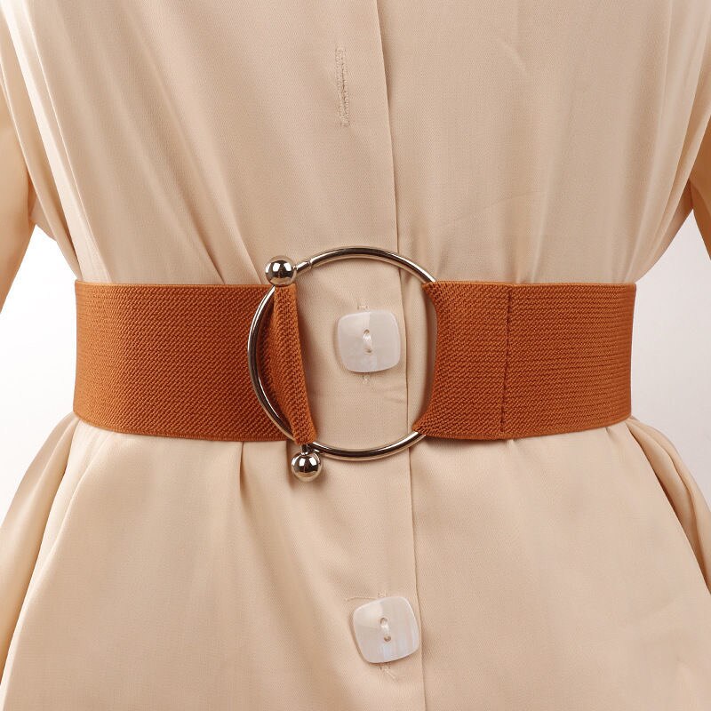 Cinturones anchos para mujer, corsé de cuero PU para adelgazar la cintura, cinturones de cuerpo, cintura elástica ajustable, faja para vestido: OT brown belt