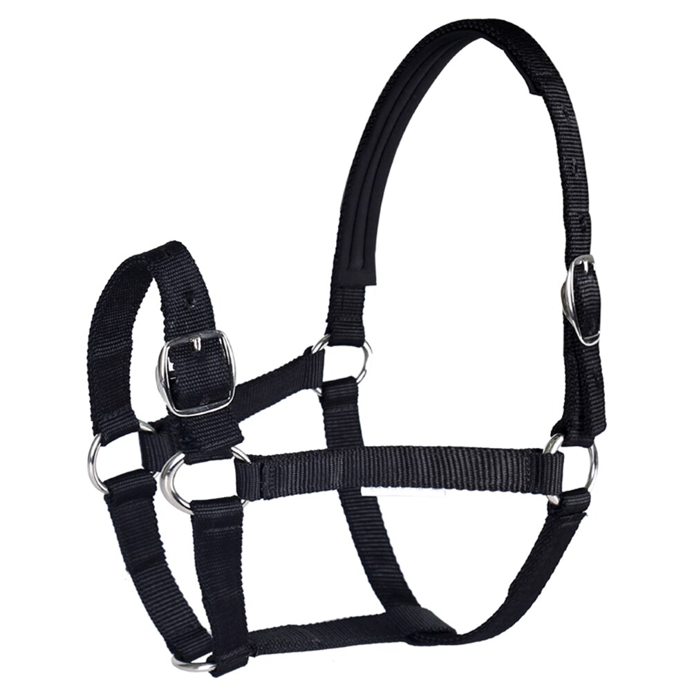 Horse Head Collar Adjustable Riding Safety Halter Belts Equestrian Equipment Riding Racing Equipment Training Rope: M-Black