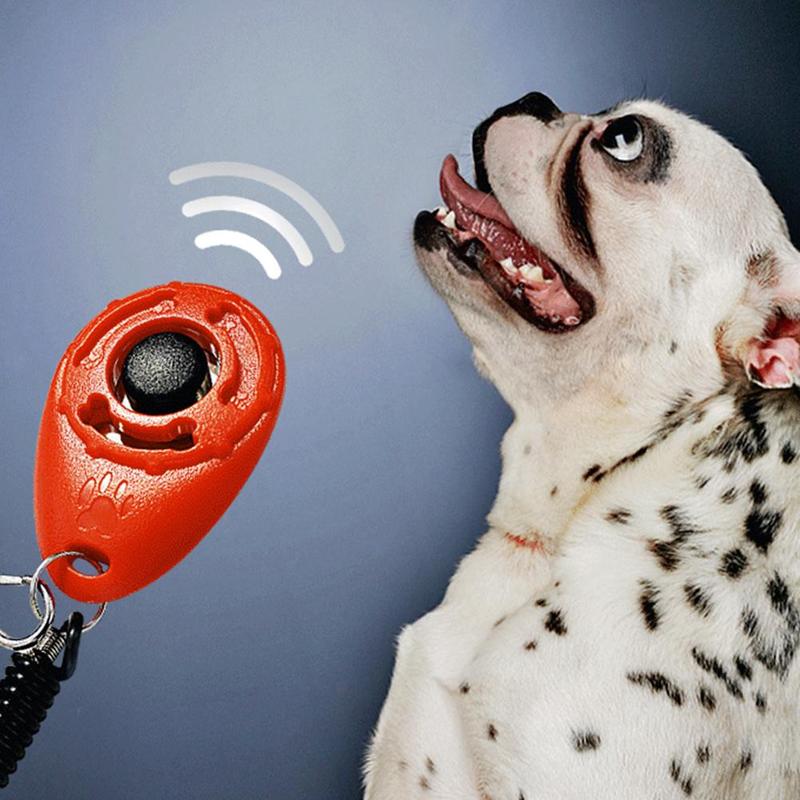 1 Pc animal de compagnie chat chien formation Clicker plastique nouveaux chiens trop sangle poignet aide sifflet clé son formateur clic chaîne outil chien Adjus I1U1