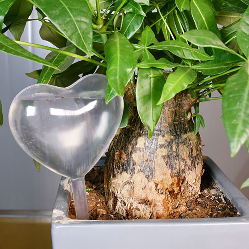 Pvc/glas självbevattningsanordningar växt blommor vattnare fågelstjärna hjärta vattenmatare automatisk vattning för inomhusträdgård: Pvc hjärta