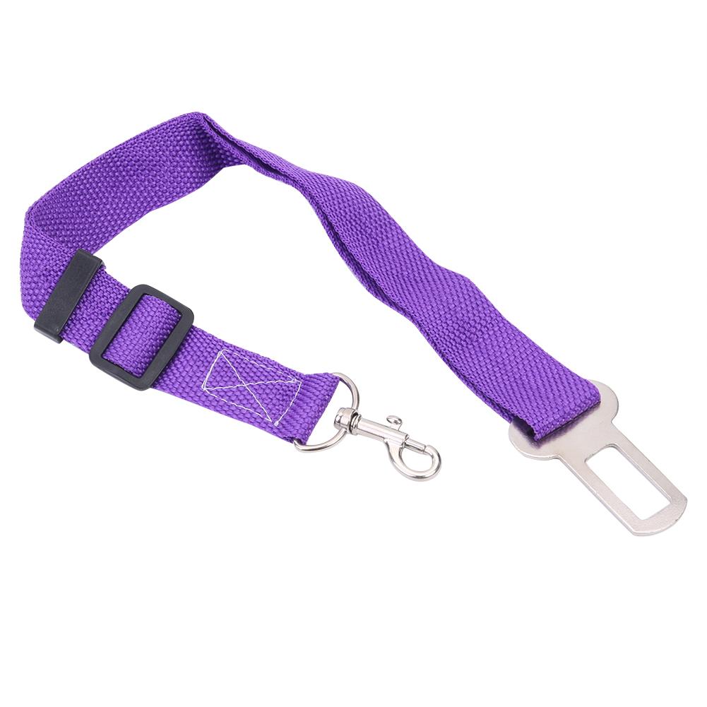 Heldere Halsband Kat Leash Reizen Autogordel Verstelbare Hond Harnas Lead Leash Voor Small Medium Hond Accessoires Huisdier product: 01 Purple