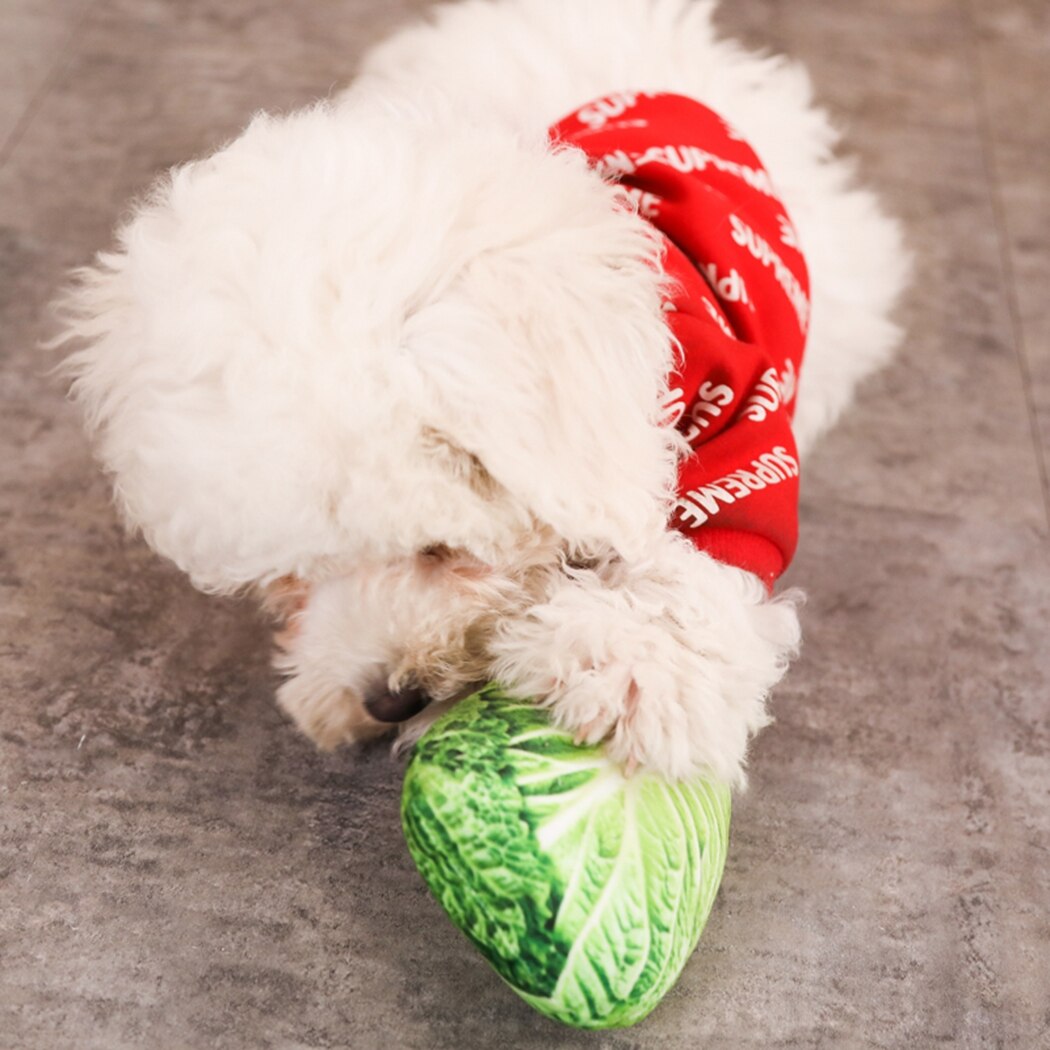 Jouets Anti-morsure pour chiens | Simulation créative, pilon de légumes, jouet chiot, jeu d'animaux, jouets à mâcher, jouets grinchants pour chiens, chats animaux