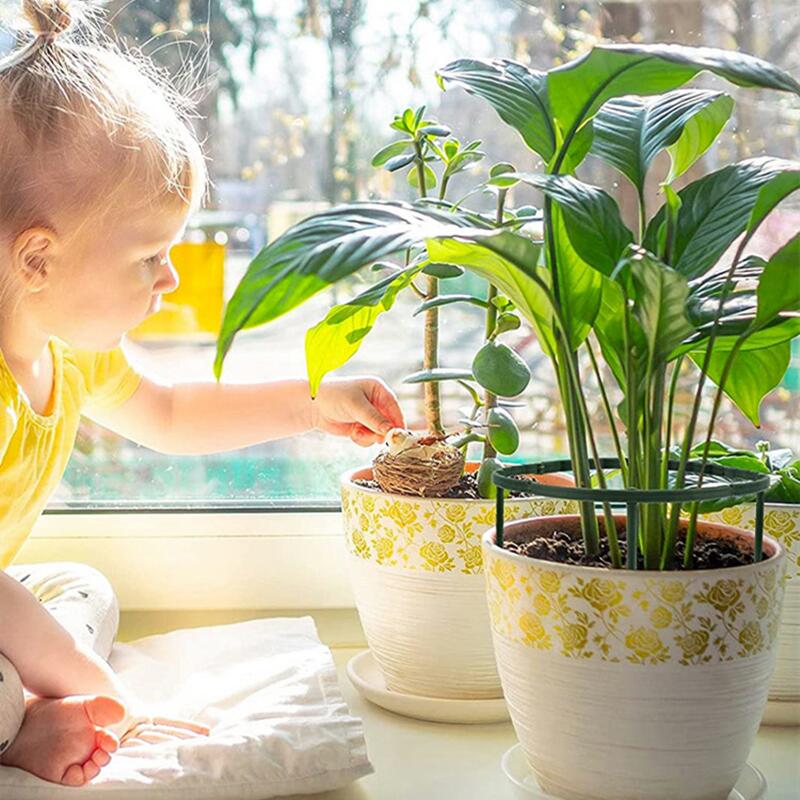 6pc plast plante støtte stabel stativ til blomster halvcirkel drivhus arrangement fastgørelse stang holder frugthave have bonsai værktøj