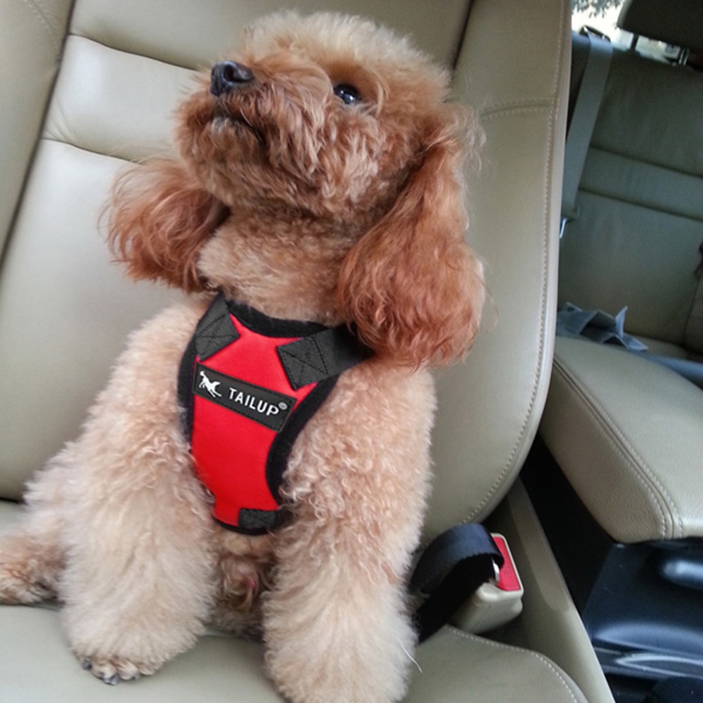 Dog Seat Belt Chest Harness Vest Harness Breathable Mesh Fabric Car Vehicle Safety Seat Belt for Pet Dog Cat Chest Vest Harness