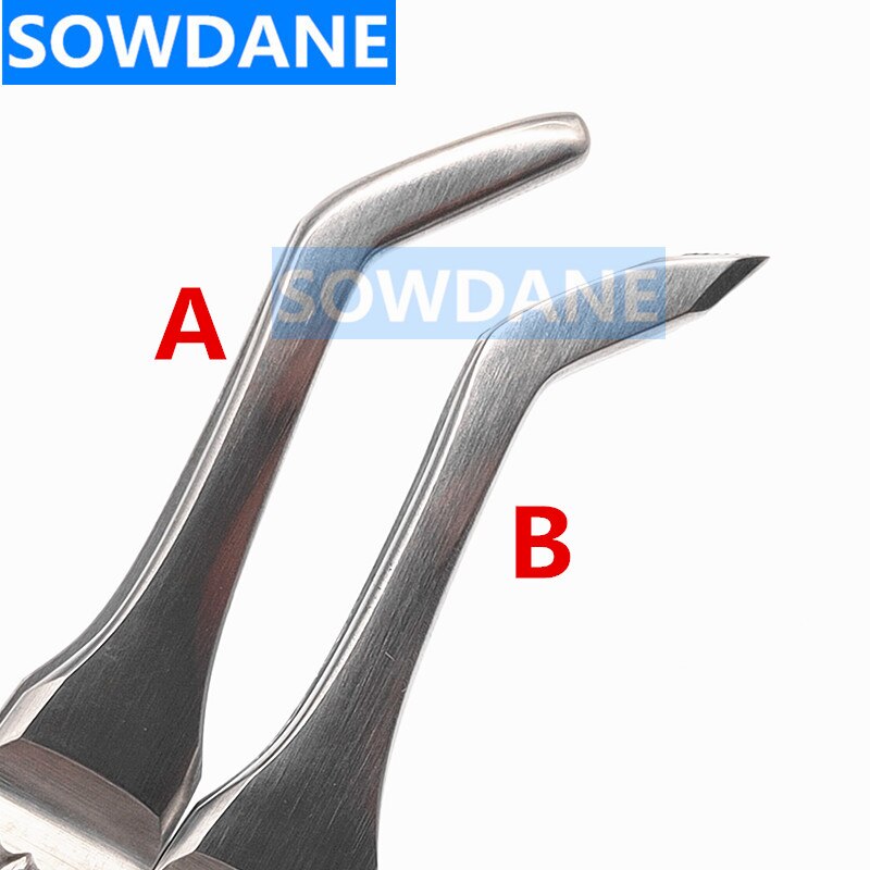 Tandheelkundige Extractie Pincet Wees End Wortel Splinter Forcep Ronde Tip Wortel Tip Pick Pincet Dental Orthodontische Instrument Tool