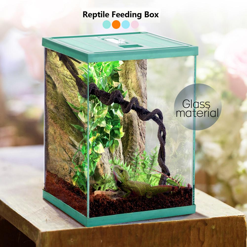Reptile Glass Terrarium Amphibians Feeding Box Transparent Pet Spider Gecko Horn Lizard Insect Frog Climbing Case