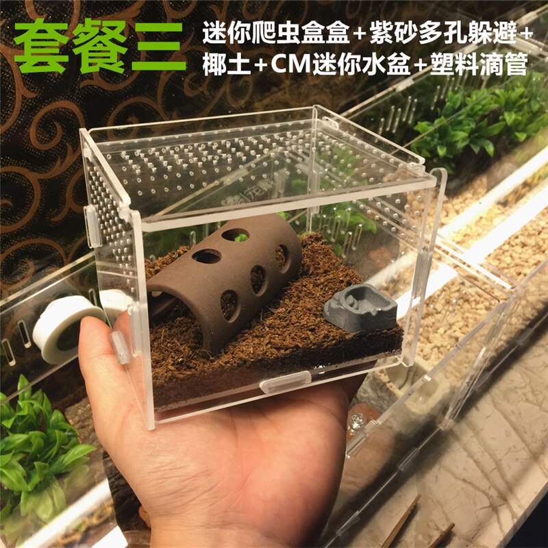Small Size Reptile Tank Insect Spiders Tortoise Lizard Acrylic Transparent Breeding Box Vivarium Lid Reptile Pet Product: TYPE 3