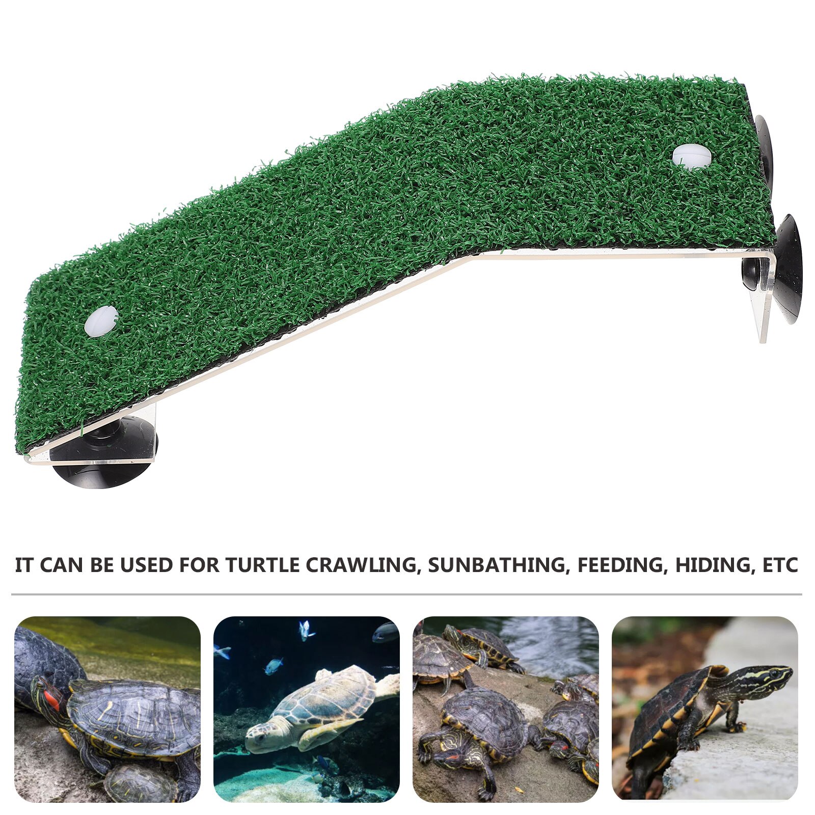 Turtle Basking Drying Platform Aquarium Sundeck Climbing Platform Accessory