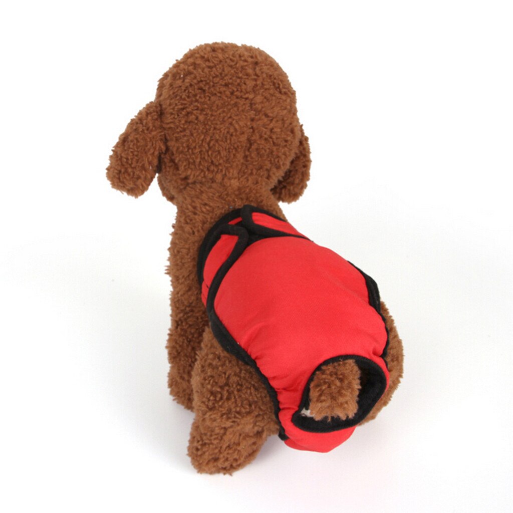 Huisdier Fysiologische Broek Hond Menstruele Teddy Polka Dot Riem Warmte Gezondheid Slipje Spot Eenvoudig en Schoon Beschermen Huisdier Gezondheid: Red / M