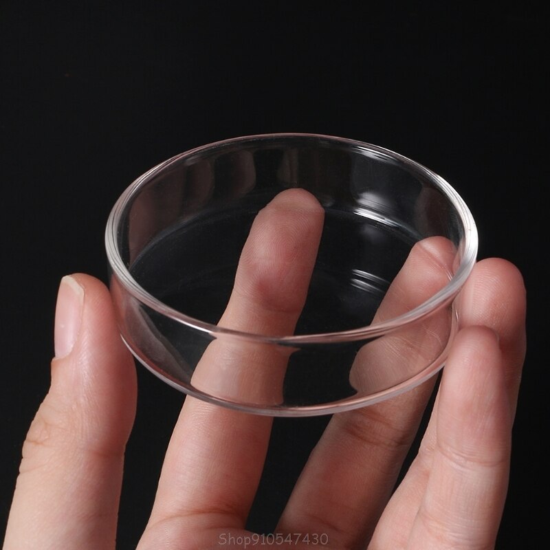 Clear Glass Shrimp Food Round Dishes Small Fish Feeding Bowl Ornamental Supplies D24 20