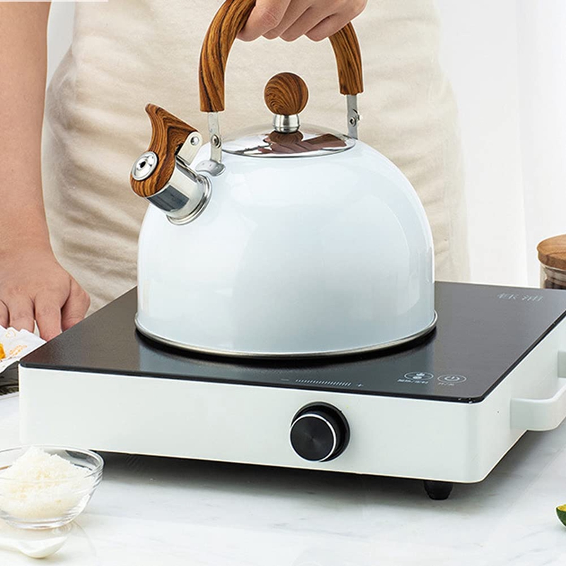 Waterkoker, 2.5L Roestvrij Staal Fluitende Thee Potten Voor Stove Top, met Handvat Luid Fluitje En Anti-Roest Quick Kokend